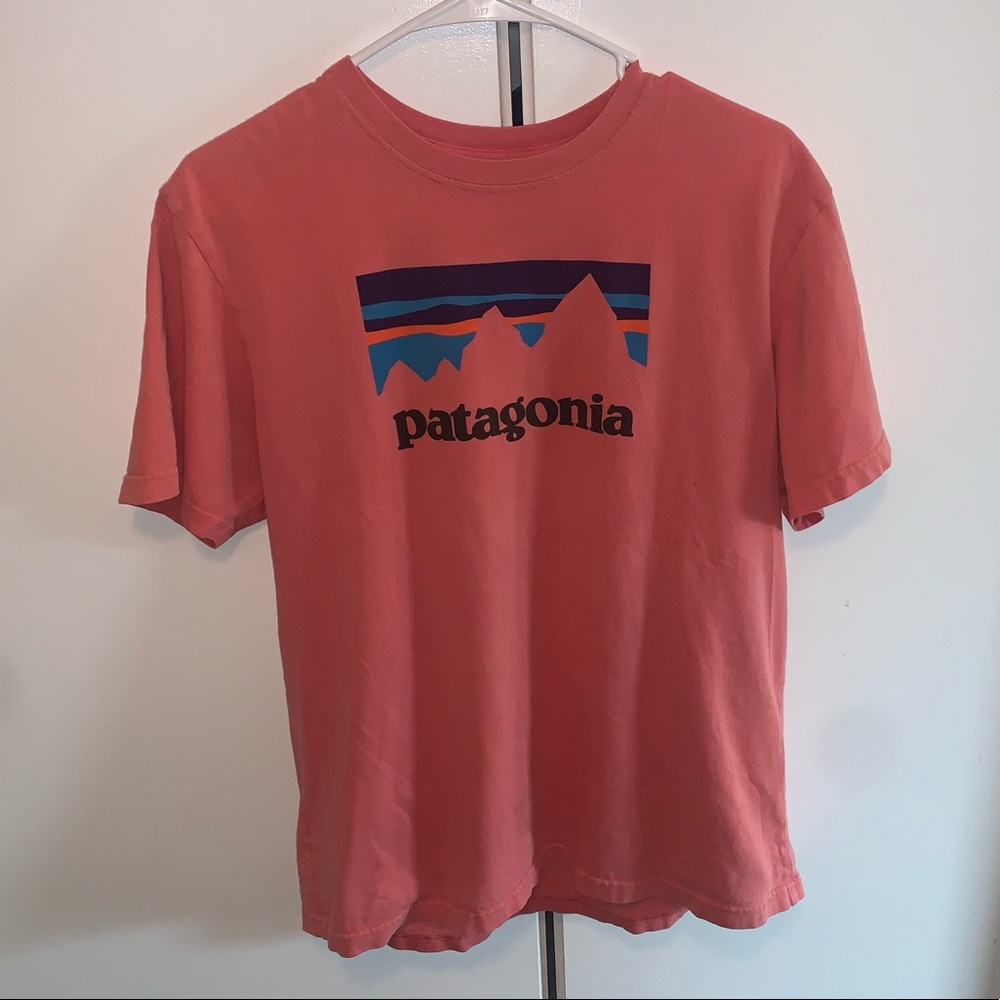 Patagonia tee